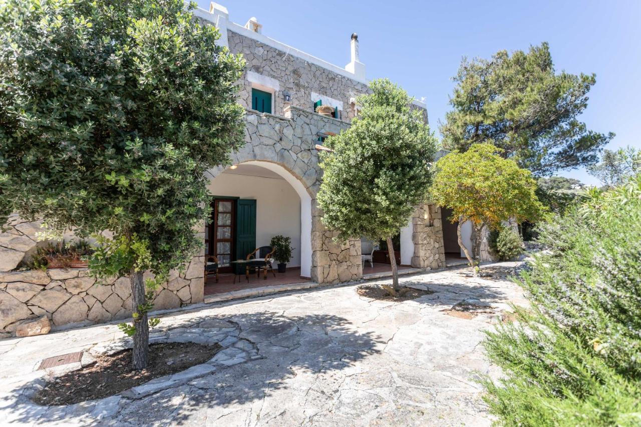 Il Posto Delle Fragole Bed & Breakfast Castro  ภายนอก รูปภาพ